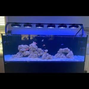 Meet your Posher, Brett